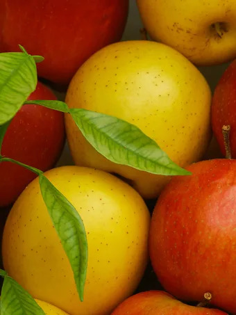 2-in-1 Apple Cocktail Tree