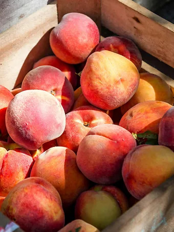 5-in-1 Peach Cocktail Tree