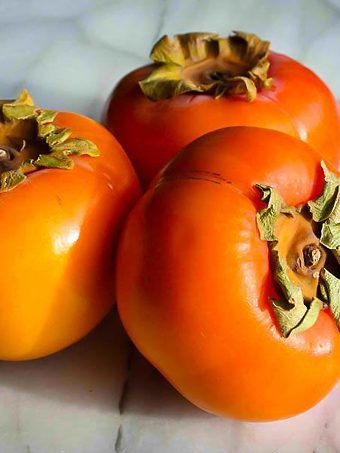 American Persimmon Tree